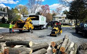 Best Seasonal Cleanup (Spring/Fall)  in West Columbia, TX